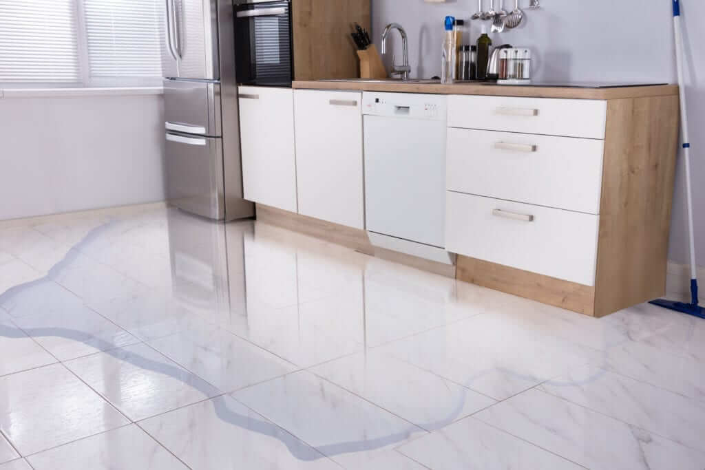 San Bernardino water leak detect San-Bernardino-water-leak-detect