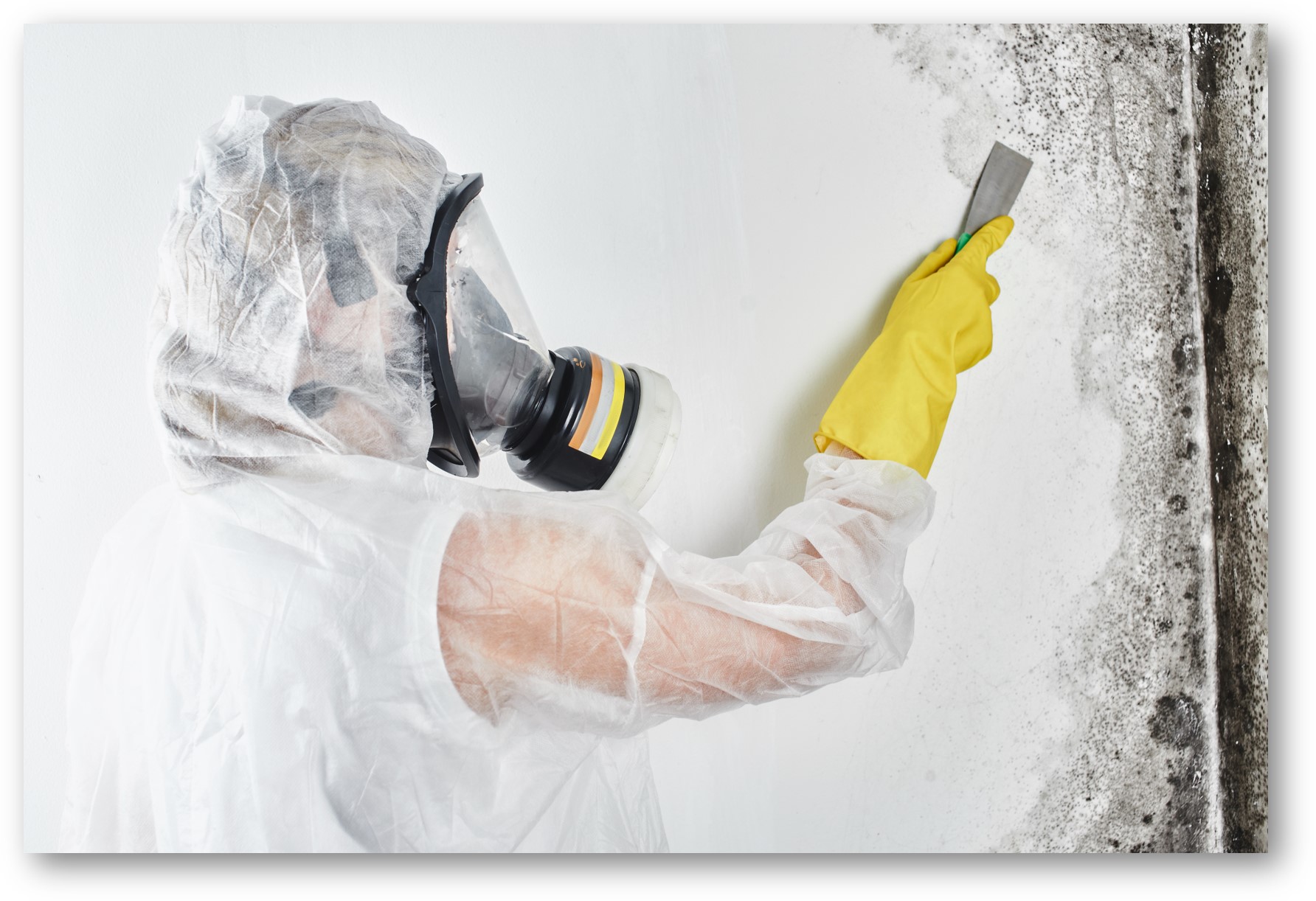 Mold removal Mоld Rеmоvаl Services provider In San Bernardino